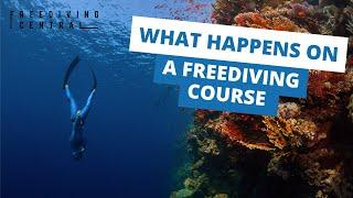 What Happens on a Freediving Course