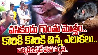 Palnadu Latest News | Latest Telugu News | Telugu News | Suman Tv Live