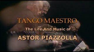 Astor Piazzolla in portrait (2004)