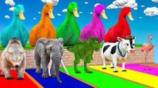 Long Slide Game With Elephant Gorilla Buffalo Hippopotamus Tiger 3d Animal Game Funny 3d Animals