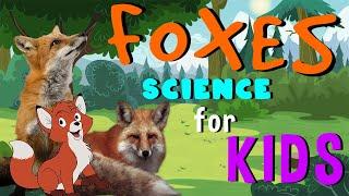 Foxes | Science for Kids