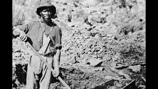 All that Glitters: A New Look at the California Gold Rush