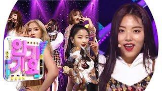 BVNDIT (Bandit) - Hocus Pocus @ Popular Inkigayo 20190414