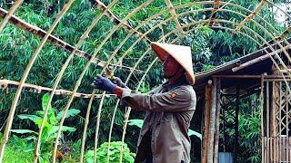 Gardening vegetables: make a bamboo arch arbor  | RE Life, Eps 8