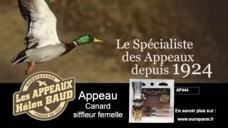 Appeau canard siffleur femelle - Helen Baud