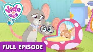 Sunny’s Baby Sister Surprise @VidaTheVet Full Episode  Animal Cartoons for Kids #learning  #Animals