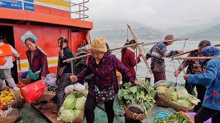 Chinese Farmers Cross the Yangtze River to Sell Vegetables in Rural Chongqing【Alin Food Walk】