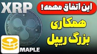 مهم برای ریپل XRP: همکاری خیلی مهم ریپل با Maple و شروع یک مسیر جدید برای ریپل