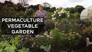 Abundant and Beautiful Vegetable Garden | Homestead garden tour