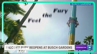 Busch Gardens' Falcon's Fury reopens after temporary closure