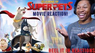 DC League of Super-Pets MOVIE | REEL IT IN REACTION | First Time Watching | Review | Superman