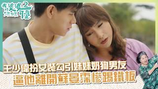 【#我的婆婆怎麼那麼可愛2  EP25】王少偉扮女裝勾引妹妹奶狗男友 逼他離開蘇晏霈慘踢鐵板｜ 精華 ｜鍾欣凌 黃姵嘉 張書偉 洪都拉斯