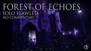 Forest of Echoes - Legend Difficulty - Solo Flawless (No commentary)