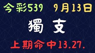 今彩539｜獨支｜少年狼539｜9月13日｜上期命中13.27.