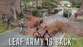 INSANE amount of leaves. LEAF MAYHEM 52 yards in 1 HOUR. NEW TRUCKS and equipment. Beautiful CHAOS.