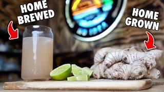 How to Brew Ginger Beer (6%) at Home