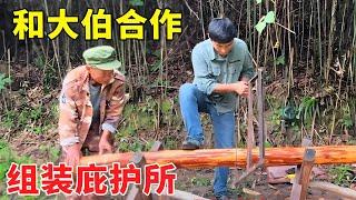 Cooperate with uncle to continue to build the shelter  and you can feed the fish better in the futu