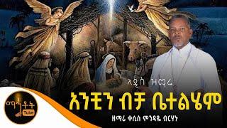  አዲስ ዝማሬ "አንቺን ብቻ ቤተልሄም" ዘማሪ ቀሲስ ምንዳዬ ብርሃኑ (Official Video)