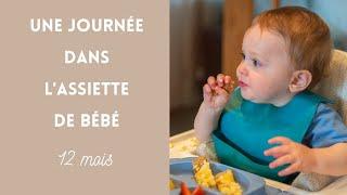 Une journée dans l'assiette de bébé (repas bébé 12 mois, naturopathie, alimentation saine, DME)