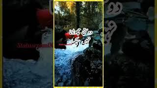 urdu poetry status|| #shorts #statusroom005 #savejkhan #urdupoetry #friendspoetry