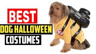 Top 5 Best Dog Halloween Costumes in 2024