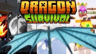 Play as a Dragon! | Dragon Survival Guide