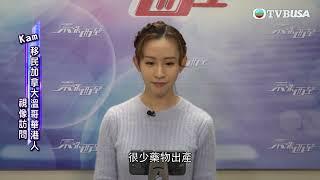 東張西望｜搶藥潮蔓延至英國、加拿大、日本等全球多地藥店｜TVBUSA | 民生