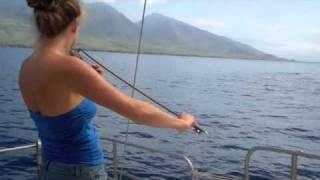 Whales Hang out to Hear Violin