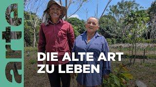 Brasiliens Regenwald, zurück in die Zukunft | 360° Reportage | ARTE Family