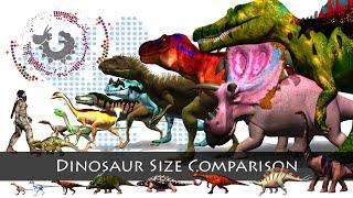 Dinosaurs Size Comparison