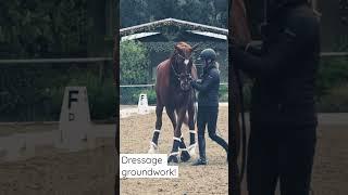 Dressage Groundwork!