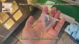 Máquina envasadora de bolsas de té con bolsa triangular de té negro de té de hierbas de Uruguay