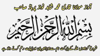 kushty sariky latest pakistani pehlwan  / shahzad abbas bhah
