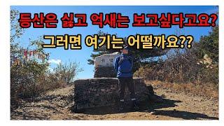 [유명산] 임도따라 가면서 억새도 보고 인증도 하세요 / 배넘이고개(배너미고개)코스 / 100대명산