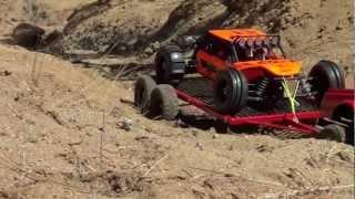 AXIAL EXO IN THE SAND FOREST