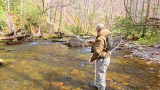 Fly Fishing Crystal Clear Water And Giant Brown Trout!!!