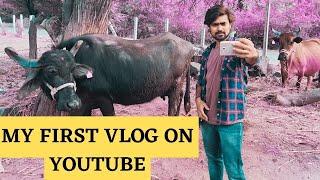 My First Vlog | Introduction | Sindhu Verma Vlogs