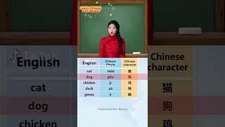 Beautiful Teacher | Learn Chinese Basic Words #china #nigeria #africa #uk