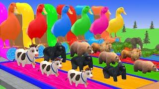 5 Giant Duck Cartoon,Tiger,Cow,rabbit,Zebra,Dinosaur,Dog,Cat Wild Animals Crossing Fountain 2025