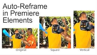 Auto Reframe in Premiere Elements