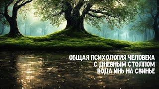 Психология БаЦзы: дневной столп Вода Инь на Свинье