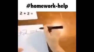 #Homework-Help (MEME)