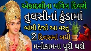 એકાદશીના દિવસે તુલસીનાં કુંડામાં બાંધી દેજો આ વસ્તુ 2 દિવસમાં તમારી મનોકામના પૂરી થશે | તુલસીની પૂજા