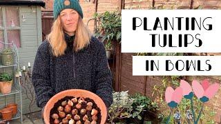 How to Plant Tulips in Containers | Easy Winter Gardening Project 