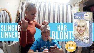 FÄRGAR LINNEAS HÅR BLONT HEMMA