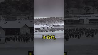 "The Mystery of the Cowra Breakout: WWII’s Largest POW Escape! ️ #shorts #history #WWII"