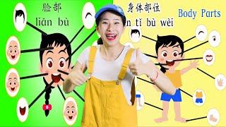 10分钟 10mins⎮学中文 脸部和身体部位⎮ Learn about Face and Body Parts in Mandarin Chinese⎮脸部⎮ 身体部位