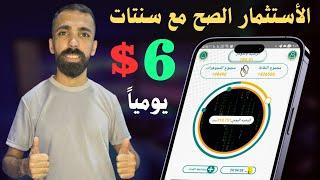 اشلون استثمر صح برنامج سنتات 6$ دولار يوميا افضل من هامستر | الربح من الانترنت