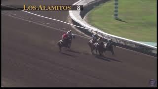 The 2024 Los Alamitos Derby Won By Wynstock | Cornell 2nd | Full Replay