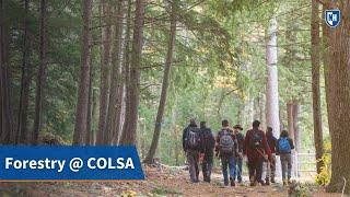 Want to Major in Forestry at UNH COLSA?